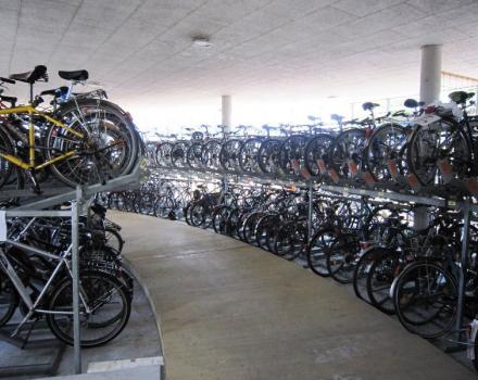 الوصول الأخضر الى العمل  