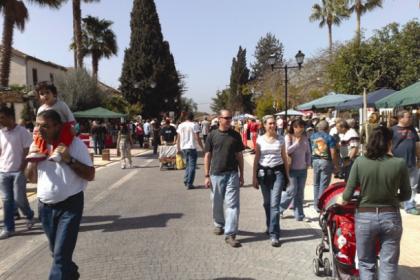 Sustainable Transport at Local Municipalities Sustainable Transport at Local Municipalities