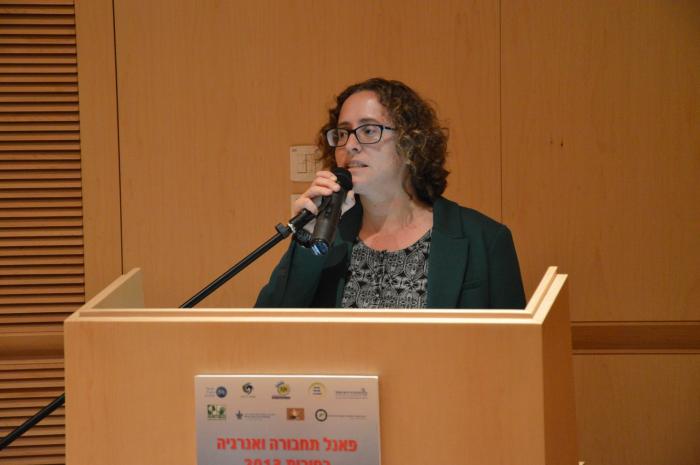 הגדל תמונה