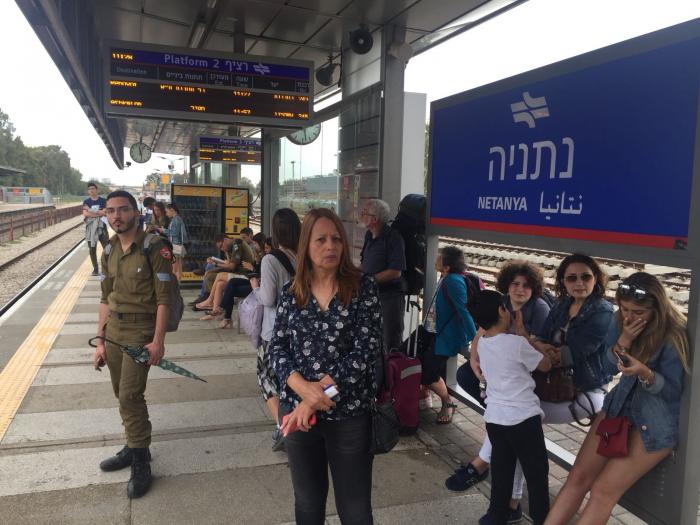 הגדל תמונה